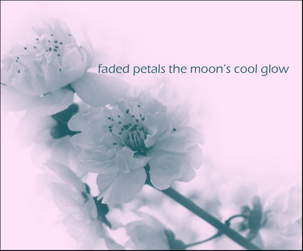 'faded petals the moon's cool glow' by Nicole Pakan