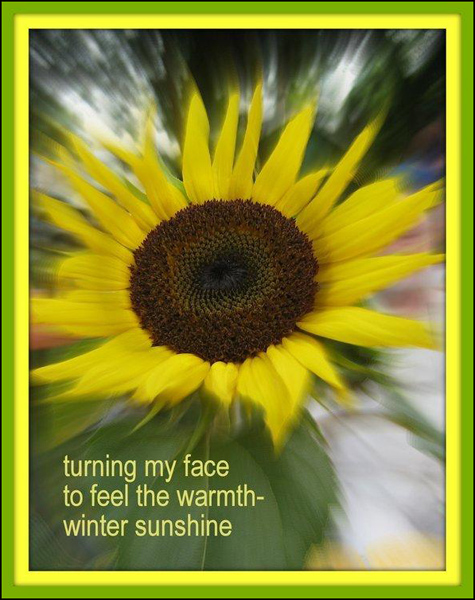 'turning my face / to feel the warmth / winter sunshine' by Adelaide Shaw
