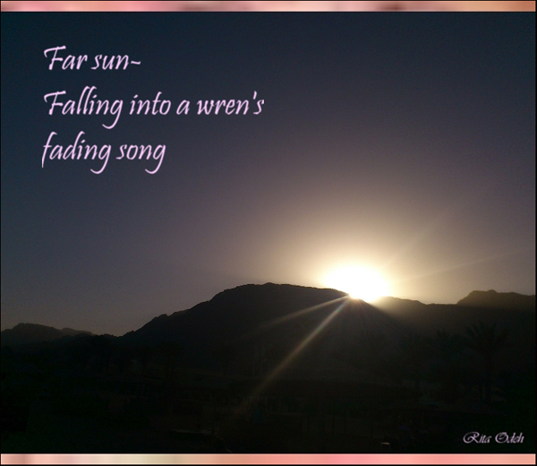 'Far sun / Falling into a wren's  / fading song' by Rita Odeh