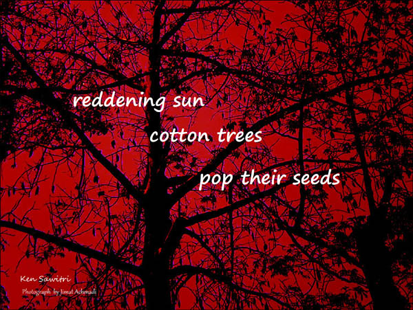 'reddening sun / cotton trees / pop their seeds' by Ken Sawitri. Art by Jimat Achmadi