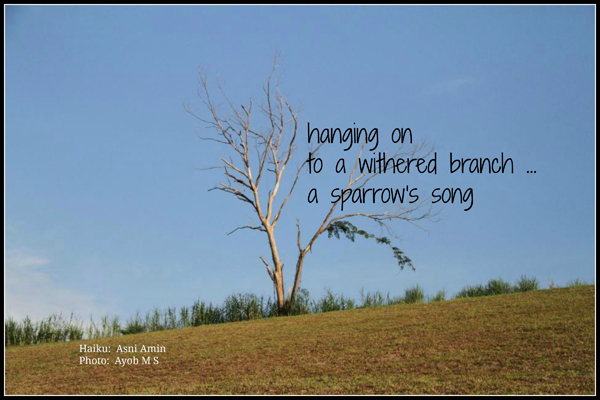 'hanging on / to a withered branch... / a sparrow's song' by Asni Amin.  Art by MS Ayob.