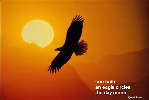 'sun bath / an eagle circles / the day moon' by Ramesh Anand