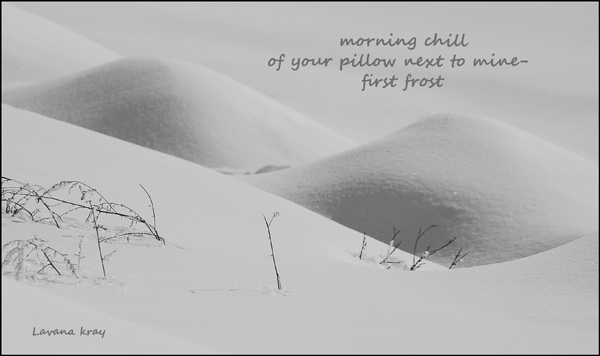 'morning chill / of your pillow next to mine— / first frost' by Lavana Kray