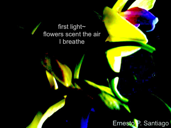 "first light~ / flowers scent the air / I breathe' by Ernesto Santiago