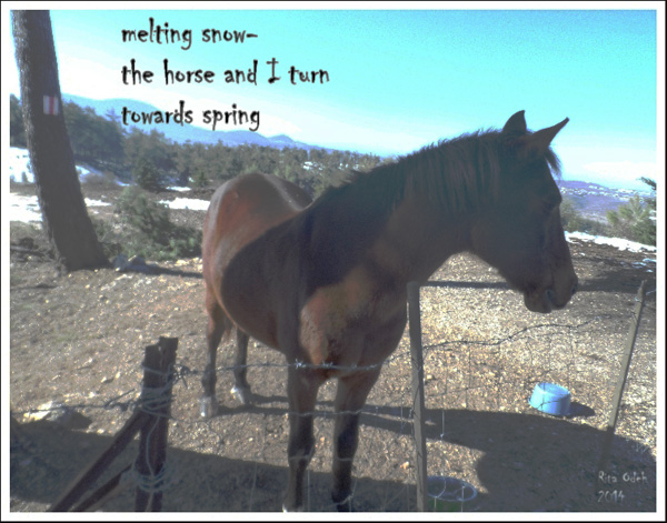 melting snow / the horse and I  turn  / towards spring' by Rita Odeh