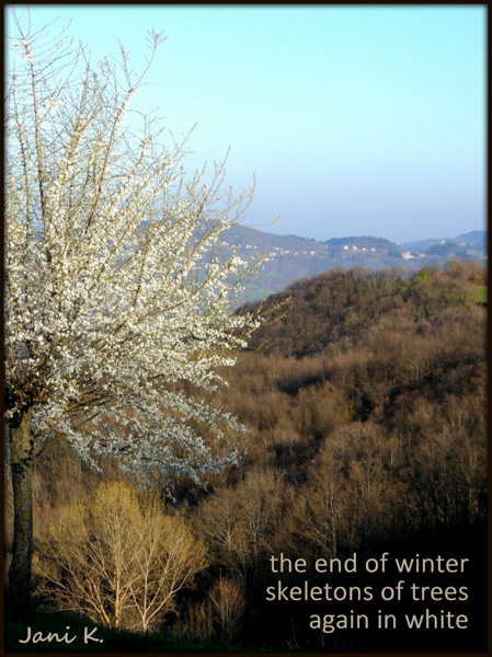 'the end of winter / skeletons of trees / again in white' by Janina Kolodziejczyk
