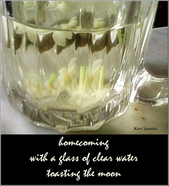 'homecoming / with a glass of clear water / toasting the moon' by Ken Sawitri