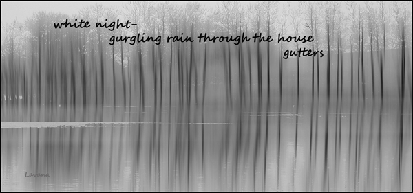 'white night / gurgling rain through the house / gutters' by lavana Kray