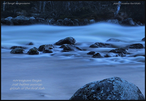'norwegian taiga / just before sunrise / the splash of the first fish' by Wieslaw Karlinski. Art by Bengt Magnusson