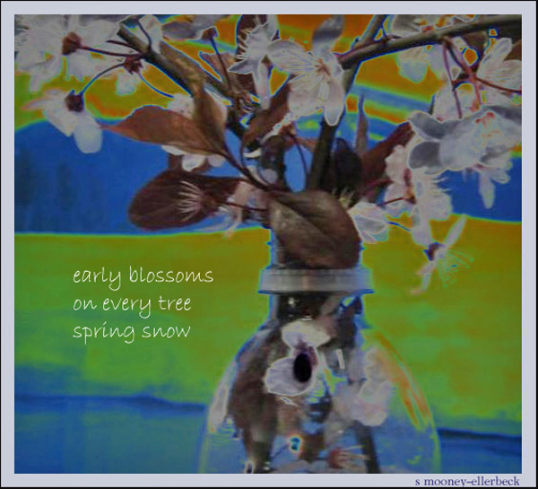 'early blossoms / on every tree / spring snow' by Sandra Mooney-Ellerbeck