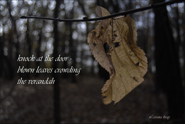 'knock at the door— / blown leaves crowding / the verandah' By Lavana Kray