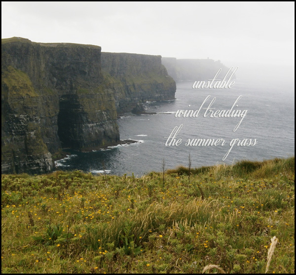 'unstable / wind threading / the summer grass' by Maria Tomczak