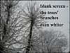'blank screen / the trees' branches / even whiter' by Ana Drobot