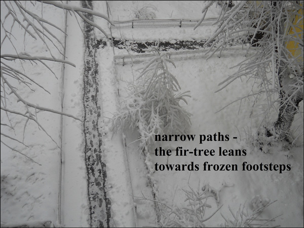 'narrow paths� / the fir tree leans / towards frozen footsteps' by Ana Drobot