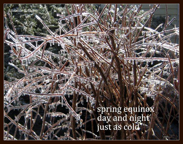 'spring equinox / day and night / just as cold' by Adelaide Shaw