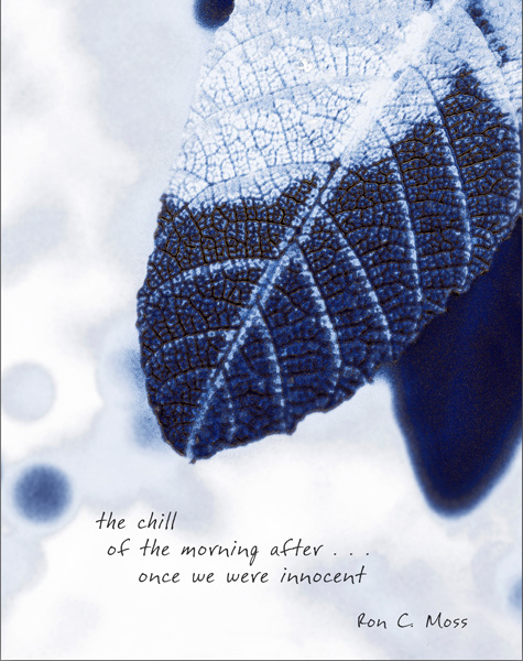 'the chill / of the morning after... / once we were innocent' by Ron Moss