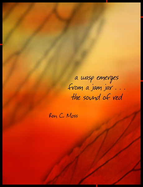 'a wasp emerges / from a jam jar... / the sound of red' by Ron Moss