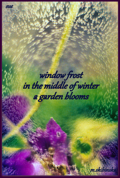 'window frost / in the middle of winter /  a garden blooms' by Zuzanna Truchlewska. Art by Malgorzata Skibinski.