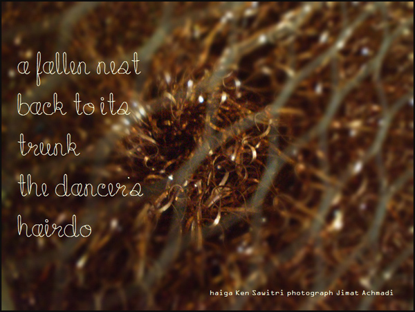 'a fallen nest / back to its trunk / the dancer's hairdo' by Ken Sawitri. Art by Jimat Achmadi