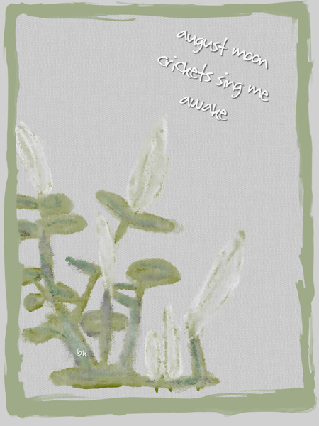 'august moon / crickets sing me / awake' by Barbara Kaufmann