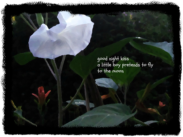 'good night kiss / a little boy pretends to fly / to the moon' by Barbara Kaufmann