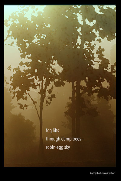 'fog lifts / through damp trees— / robin-egg sky' by Kathy Lohrum Cotton