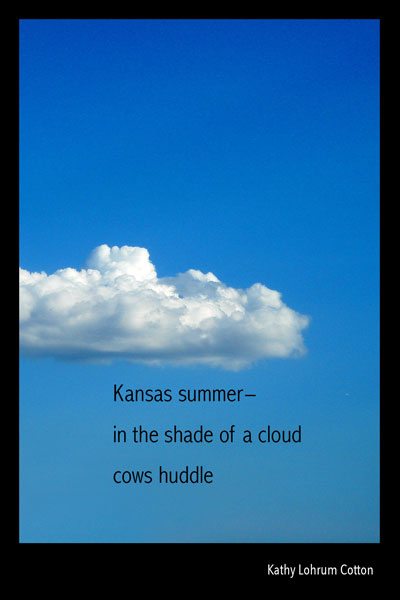 'Kansas summer / in the shade of a cloud / cows huddle' by Kathy Lohrum Cotton