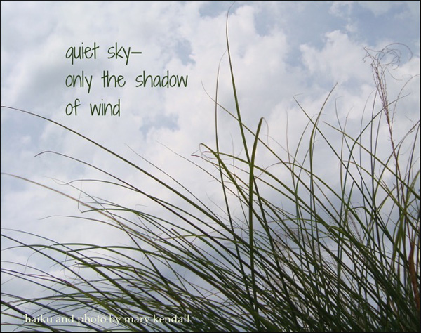 'quiet sky / only the shadow / of wind' by Mary Kendall