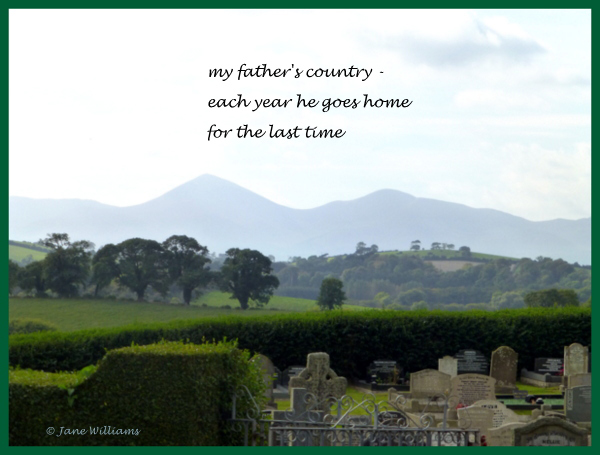 'my father's country / each year he goes home / for the last time' by Jane Williams