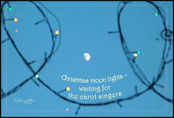 'Christmas moon lights / waiting for the carol singers' by Steliana Voicu