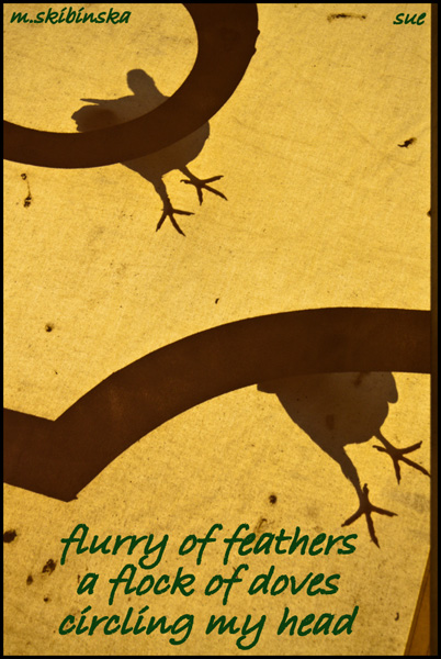 'flurry of feathers / a flock of doves / circling my head" by Zuzanna Truchlewska. Art by M. Skibinska.