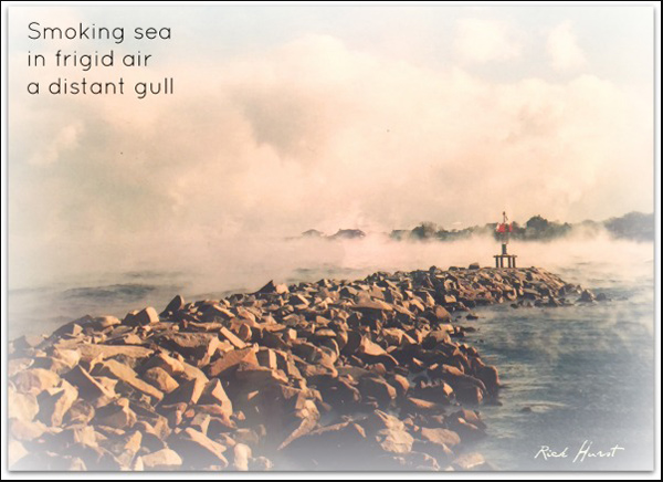 'smoking sea / in frigid air / a distant gull' by Rick Hurst