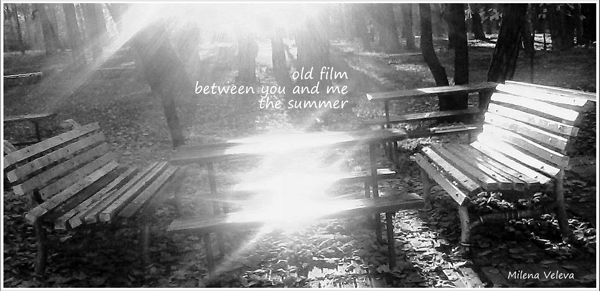 'old film / between you and me / the summer' by Milena Veleva. 