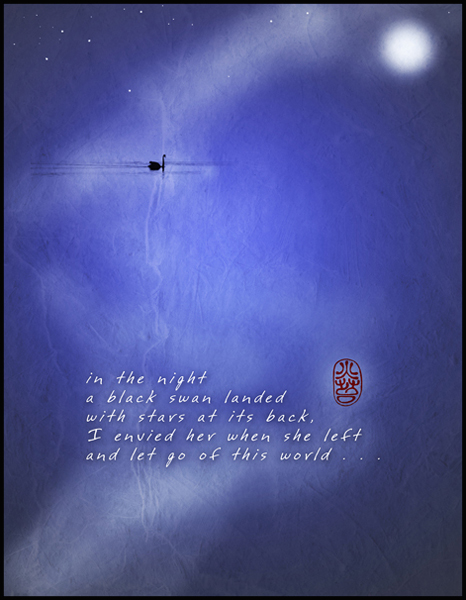 "in the night  / a black swan landed / with stars at its back. / I envied her when she left / and let go of the world...' by Ron Moss