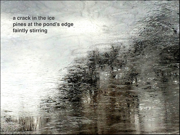 'a crack in the ice / pines at the pond's edge / faintly stirring' by Doug Norris