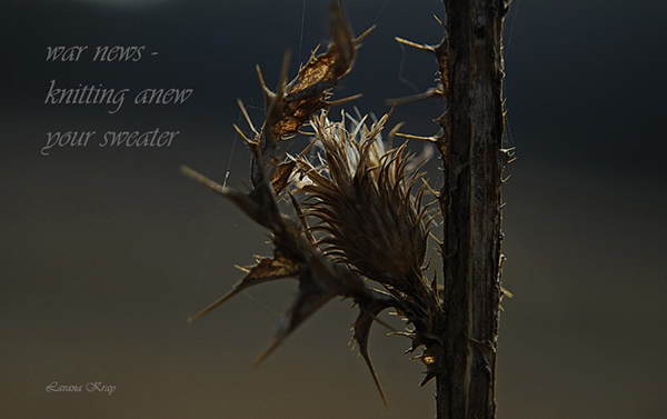 'war news– / knitting anew / your sweater' by Lavana Kray