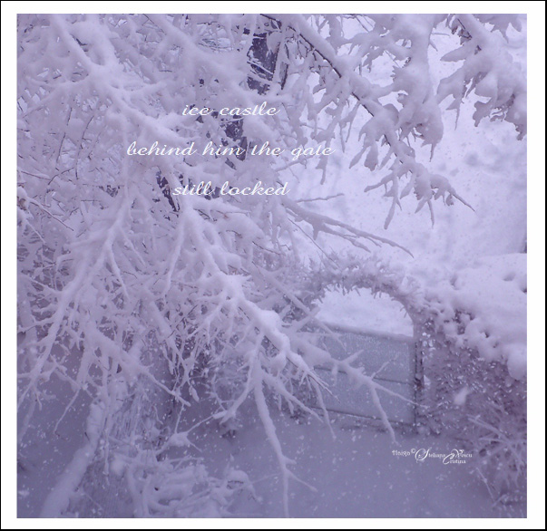 "ice castle / behind him the gate / still locked' by Steliana Voicu