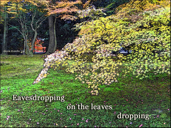 'Eavesdropping / on the leves / dropping." by Alexis Rotella. Haiku first published in The MET Press, 2007.