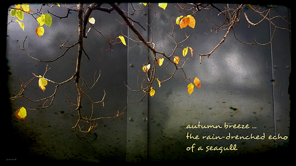 'autumn breeze... / the rain-drenched echo / of a seagull' by Jayashree Maniyil