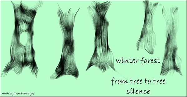 'winter forest / from tree to tree / silence' by Andrzej Dembonczyk