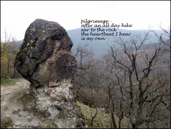 'pilgrimage / after an all day hike / ear to the rock / the heartbeat I hear / is my own' by Jane Williams