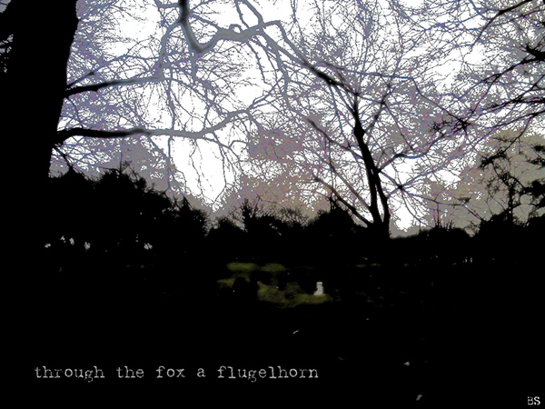 'through the fox a flugelhorn' by Brendan Slater