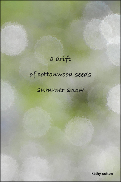 'a drift / of cottonwood seeds / summer snow' by Kathy Cotton
