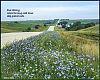 'blue chicory / colors the long road home / deep prairie roots' by Kim Sosin