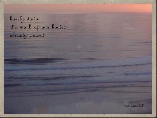 'barely dawn / the mark of our bodies / already erased' by Pris Campbell