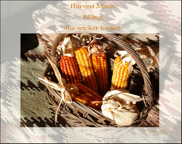 'harvest moon / filling / the wicker basket' by Steliana Voicu