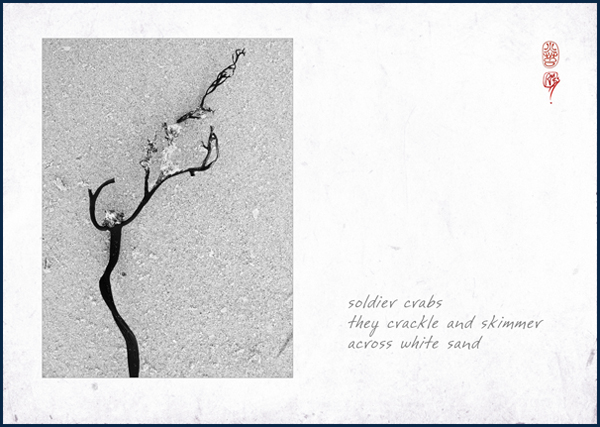 'soldier crabs/they crackle and skimmer / across white sand" by Ron C. Moss