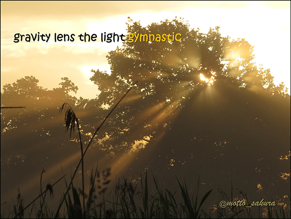 'gravity lens the light gymnastic' by David Kelly