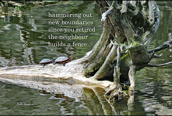 'hammering out / new boundries / since you retired / the neighbour / builds a fence' by Leslie Bamford
