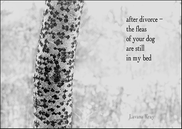 "after divorce /  the fleas /  of your dog / are still  / in my bed" by Lavana Kray